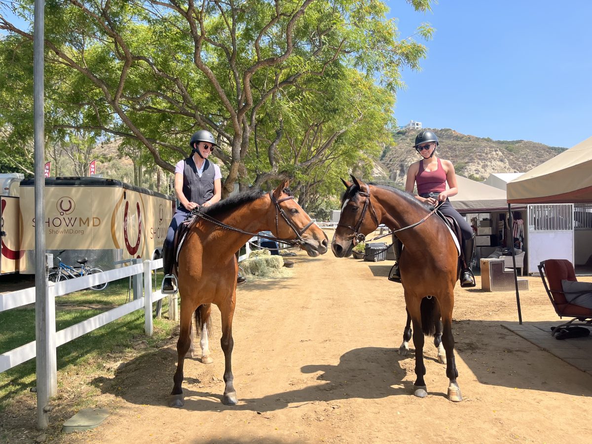 Gallery - South Coast Equestrian