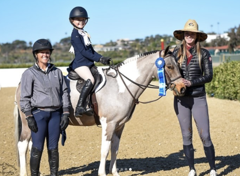 Gallery - South Coast Equestrian