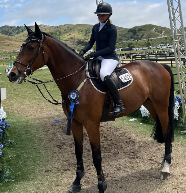 Gallery - South Coast Equestrian